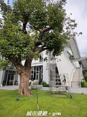 【台中東勢】東勢林業文化園區x許良宇圖書館3081533