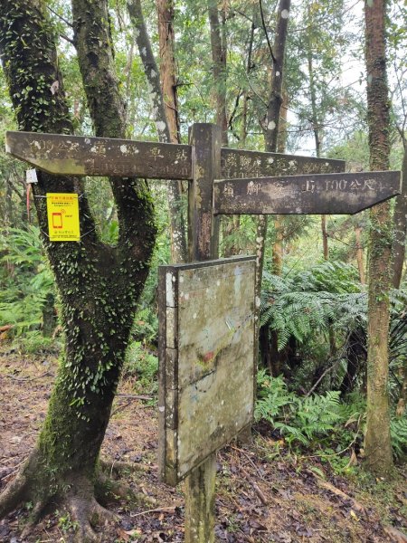 微笑山線：【五分山系】望古瀑布段2959887