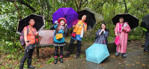 🌈貂山古道-黃金地質公園-黃金神社🌈2601270