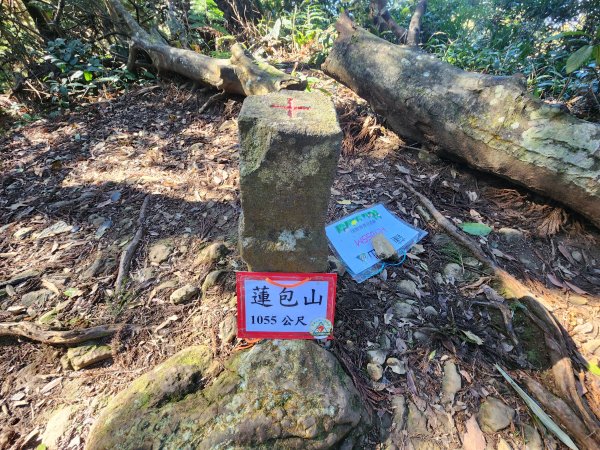 20250112貴妃山那結山外鳥嘴山蓮包山O型2727164