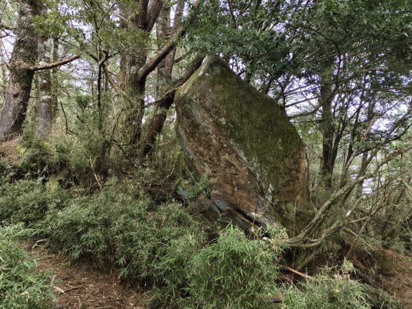 [玉山尋寶任務-08/12] 2025_0824 鹿林山步道_鹿林前山2870914