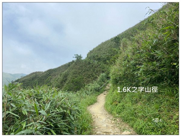 聖母峰、三角崙山 (抹茶山) 連走2802213