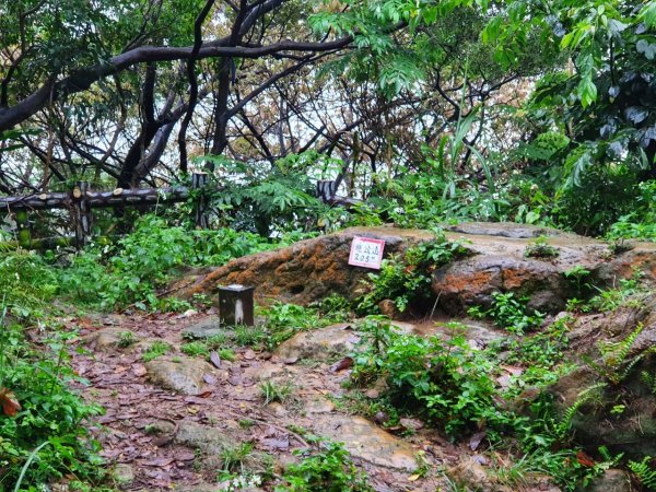 土城太極嶺，五城山，將軍嶺，文筆山，鶯歌石，牛灶坑山，龜公山，孫龍步道，二鬮山1769005