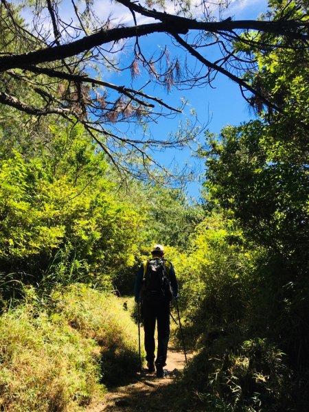 1090720東埔山.鹿林山1098462