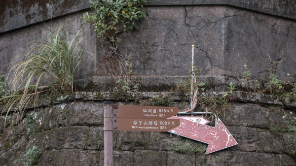 基隆一日雙塔｜山、海、碼頭2684336