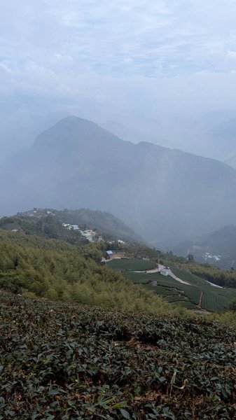 雲嘉五連峰 (大尖山、二尖山、馬鞍山、梨子腳山、太平山)2991068