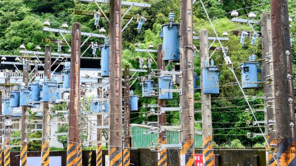 蛇子形古道。美廠產能完售2784728