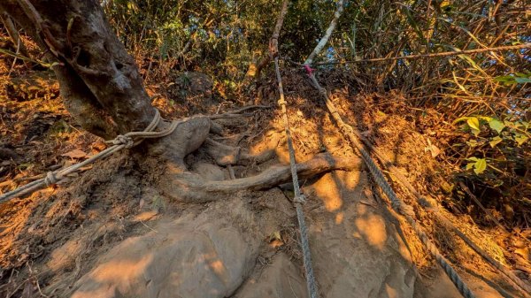 大橫屏山步道2977337