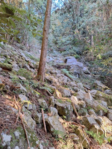 稍來神木+稍來山+稍來山南峰O型202412292678969