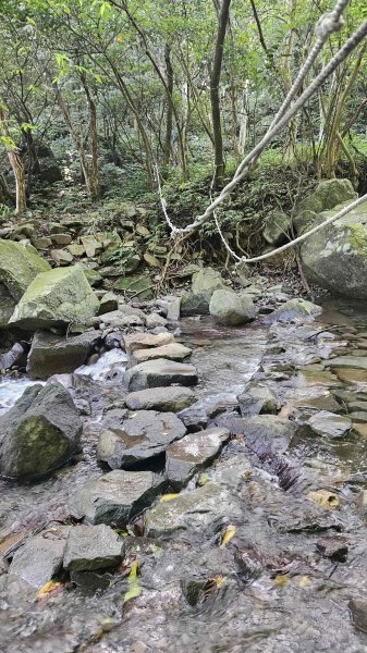 20250808內柑宅古道-紅葉谷瀑布2857231