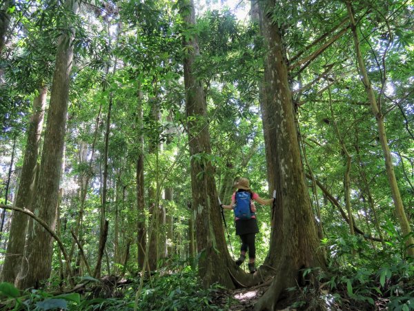 向天湖山、光天高山、三角湖山O繞1725037