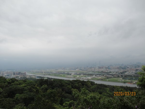 劍潭山步道904732