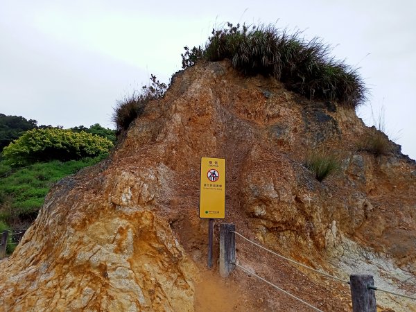 硫氣氤氳的硫磺谷步道、硫磺谷地熱景觀區1320582