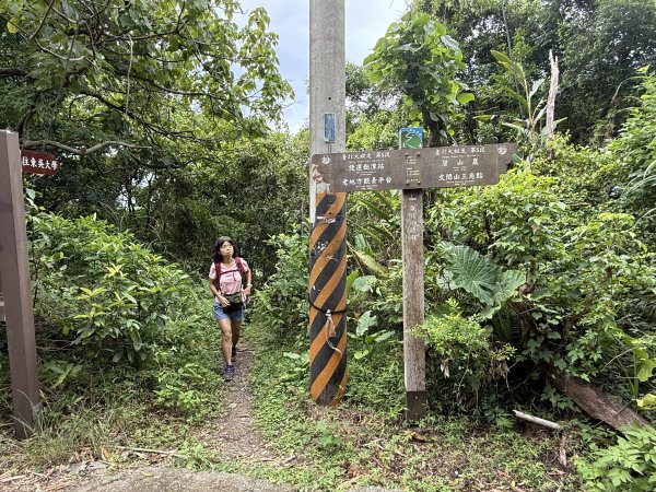 劍潭山+老地方202507192863870