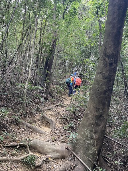 凱達格蘭山2877702