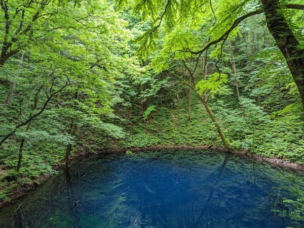 2023-06-14 十二湖（日本）2793207