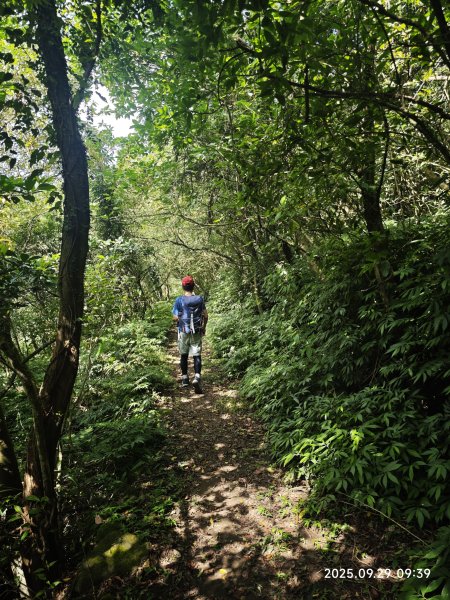 2025-0929 鹿堀坪古道2899431