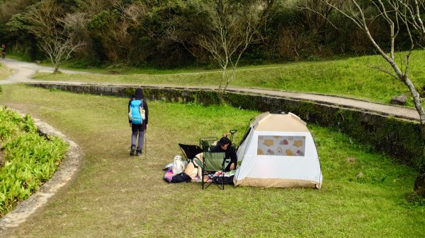 20260125 陽明山前後山健行(無極天元宮~山仔頂步道.向天池.向天山.面天山.二子坪)2998055