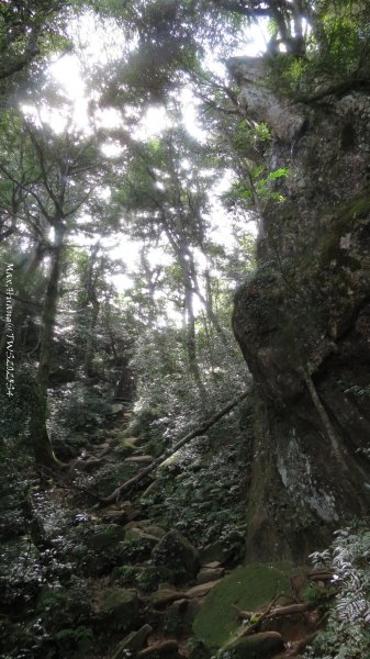 《新竹》斷崖神木｜北得拉曼步道小P繞202510172917608