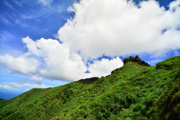 【步道小旅行】無耳茶壼山3335