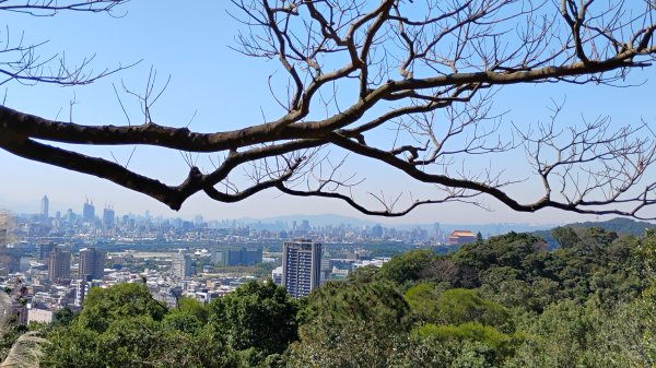 年前練練腳台北西湖近郊13連峰O型2999222