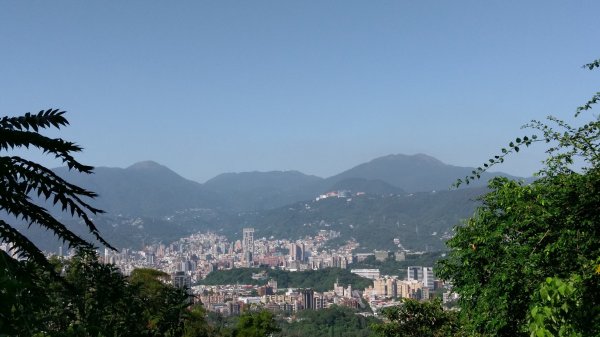 台北大縱走之劍潭山+忠義山445677