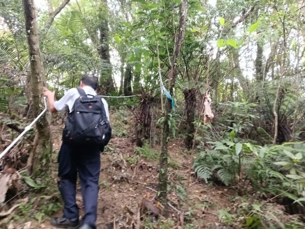 平溪區過火坪古道+枋山坑山+中坑頭鞍部+枋山坑古道+火燒寮古道O型2878610