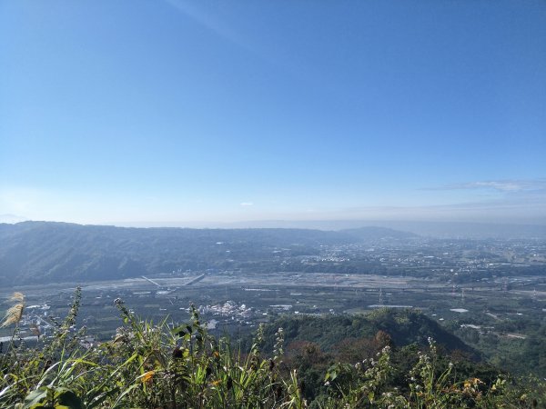 2020 12 28 九九峰森林步道1219808