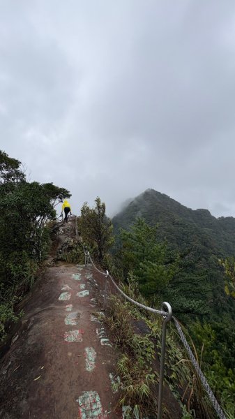 迎新（2026元旦2975588