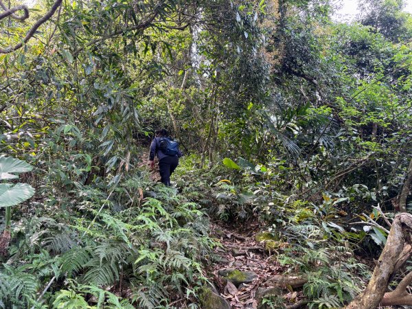 暗影山步道2753098