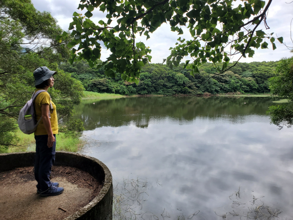吳仔厝，仙掘池，淡水集應廟