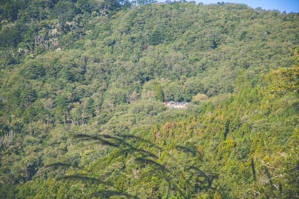 20191004~06-[新竹] 500塊上的大霸尖山1817039