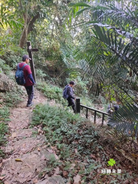 崁頭山漫遊818182