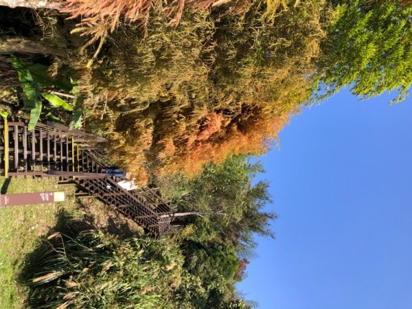 嘉義縣番路鄉二延平山1965544