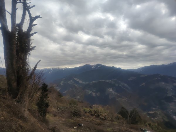 立鷹山森林步道2701090