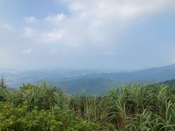 姜子寮山步道2280007