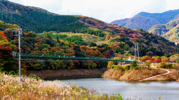 栃木縣紅葉谷大吊橋2930312
