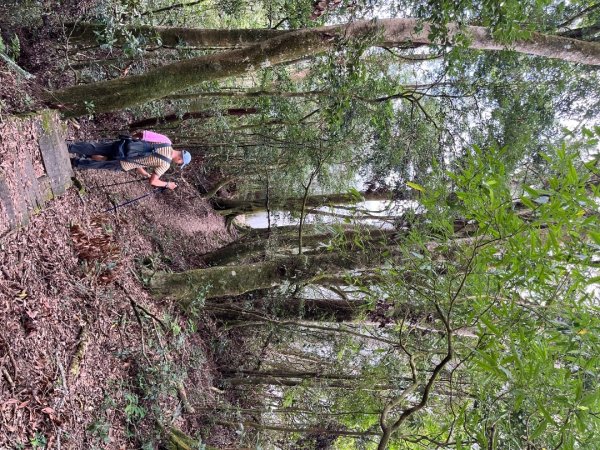 20251108_石壁山（雲林小百岳）2941451