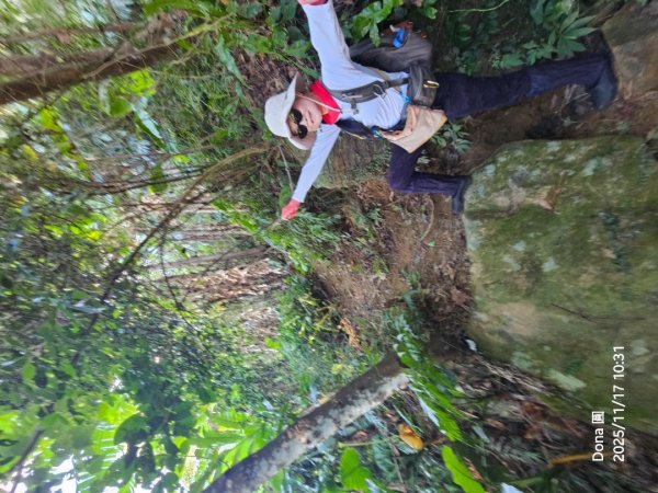 20251117新竹內灣三山四峰(內灣山.麥樹仁山南峰.麥樹仁山.白石湖山)2939895