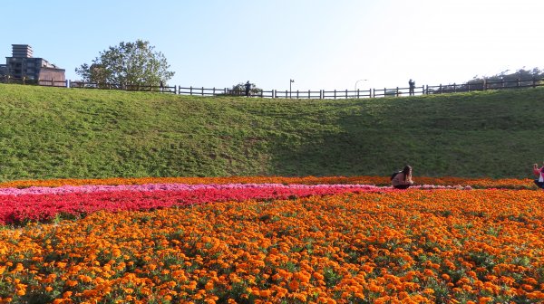 第四段B 北面步道埤頭--大湖公園站1276655