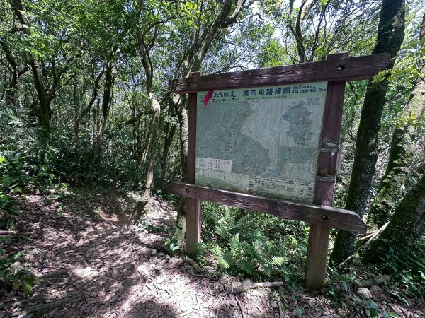 台北大縱走第四段2766852