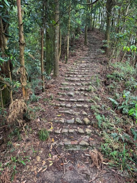 新竹五指山 - 指峰凌霄2768540