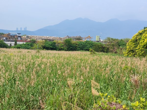 2024年臺北大縱走第八段：捷運動物園站至捷運關渡站2471095