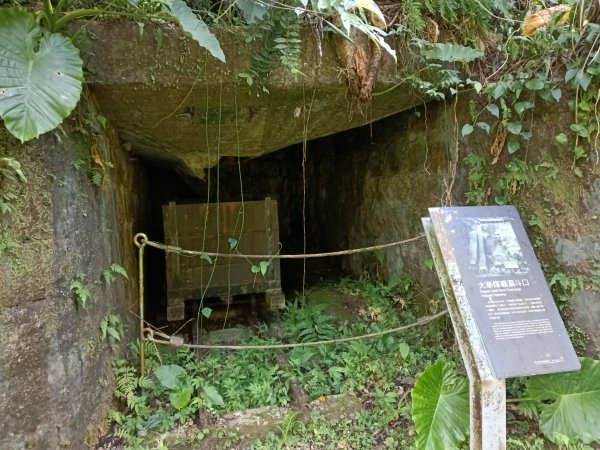 平溪區大華步道+幼坑古道+幼坑崙(大華車站-三貂嶺車站)2925173