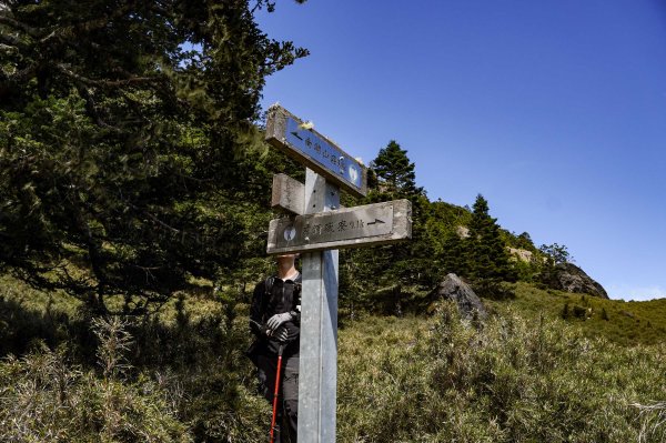 帝王之座-南湖東峰線｜南湖東峰＋陶塞峰＋馬比杉山2884916