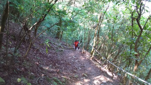 笠頂山、涼山至真笠山連走1014116