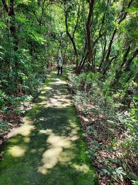 《南投》中興新村虎山步道心型2008161068781