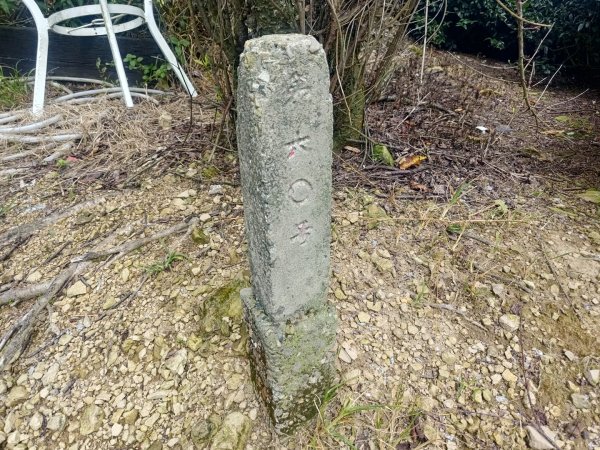 華山4-2號步道上雲嘉連峰2579345