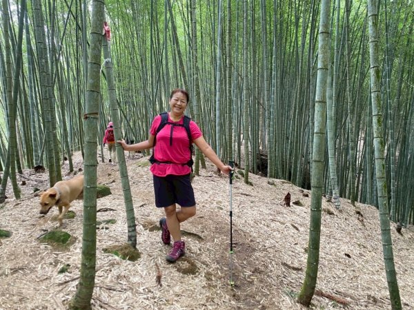 溪頭山、竹崙山、志騰山、妖怪村2877918