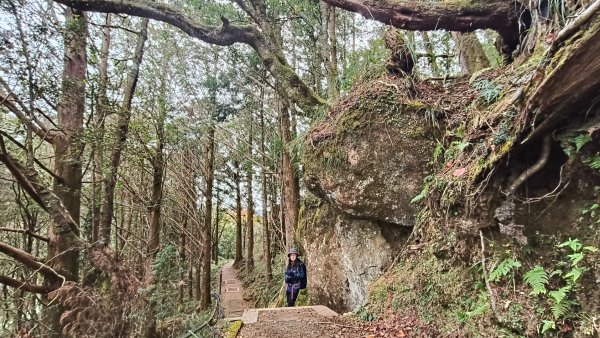 神阿縱走~台灣難抵極~大塔山2971508